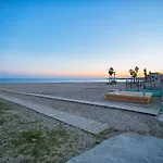 113 And Trees - Alicante *