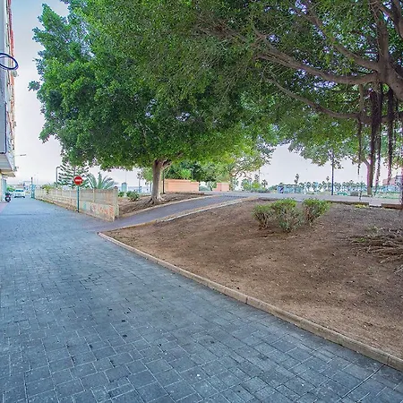 113 And Trees - Alicante Apartment