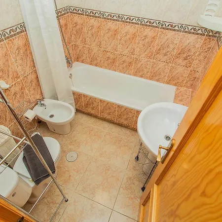 113 And Trees - Alicante Torrevieja