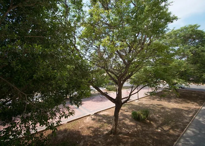 Lägenhet 113 And Trees - Alicante Torrevieja