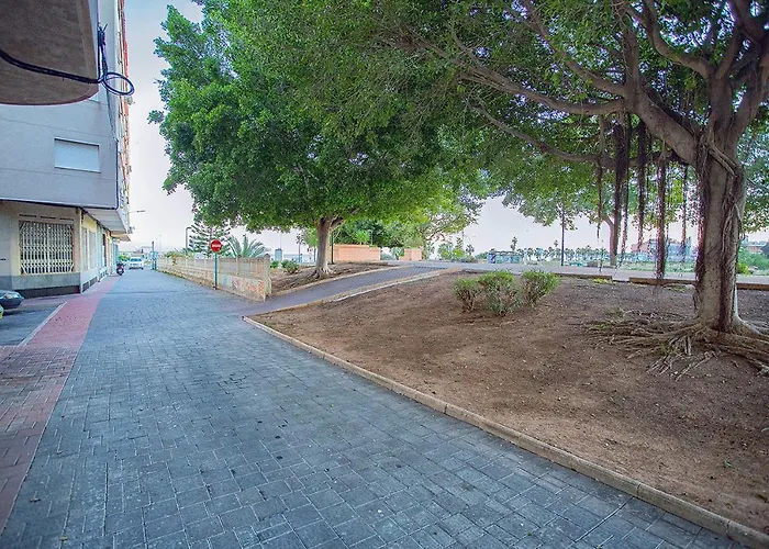 113 And Trees - Alicante Lägenhet