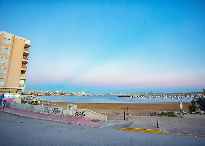 113 And Trees - Alicante * Torrevieja