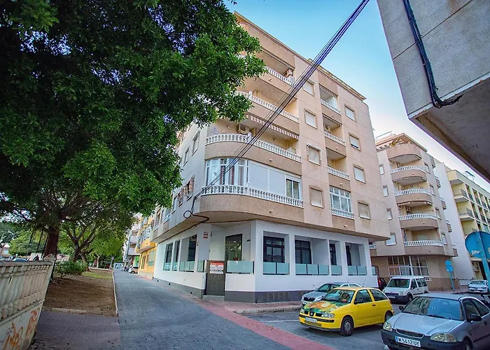 113 And Trees - Alicante Torrevieja