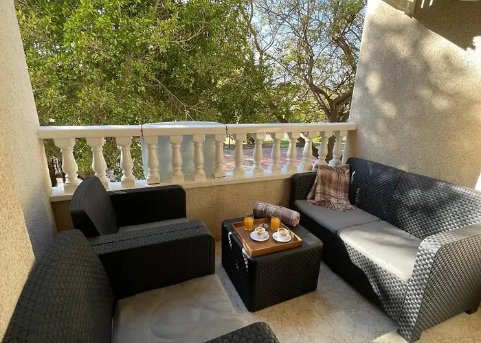 113 And Trees - Alicante *