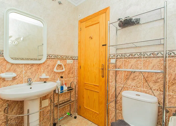 113 And Trees - Alicante * Torrevieja